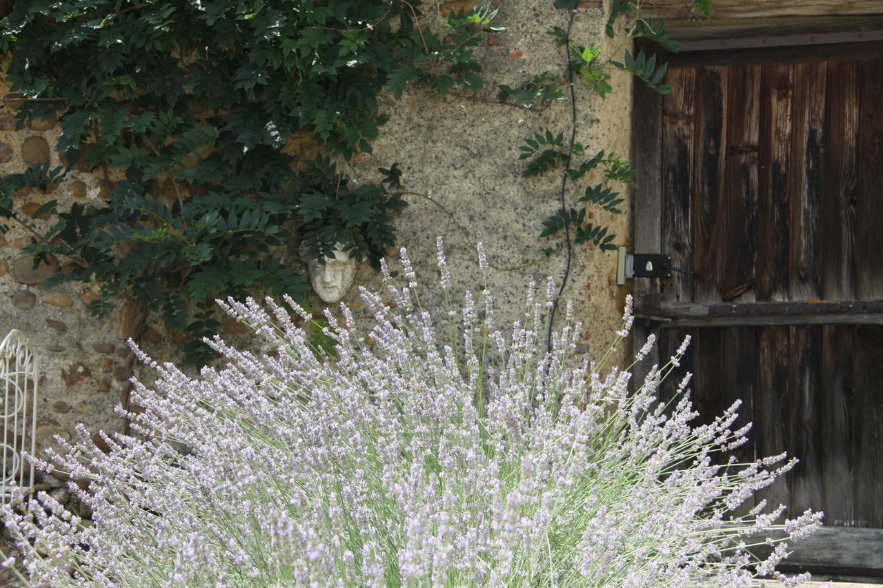 Vintage Vert Lahitte-Toupiere Luaran gambar